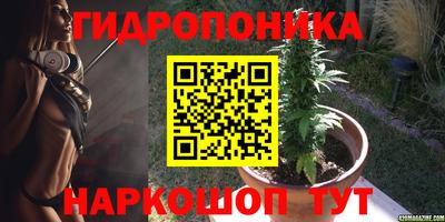 индика Заволжье