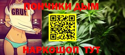индика Заволжье