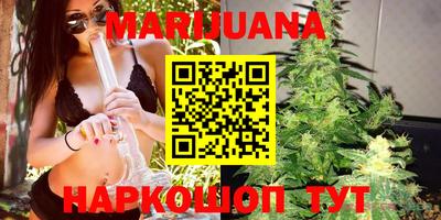 индика Заволжье