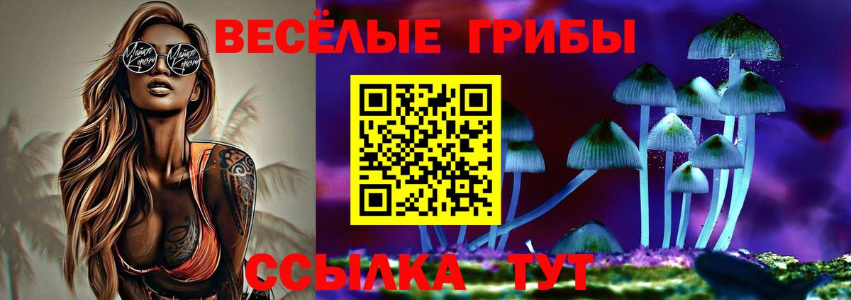Минусинск  Псилоцибиновые грибы Psilocybe  Вход с VPN  Псилоцибиновые грибы ЛСД 